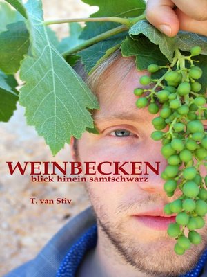 cover image of Weinbecken